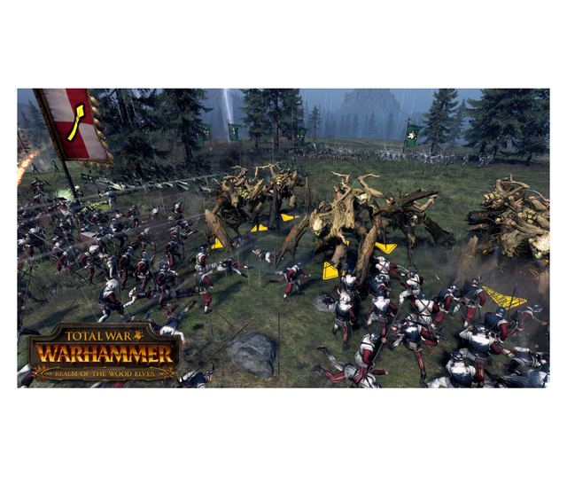 Total War Warhammer Realm Of The Wood Elves Vivre