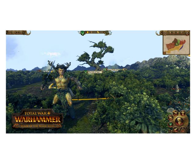 Total War WARHAMMER Realm Of The Wood Elves Vivre