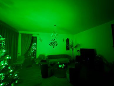 Corina's home