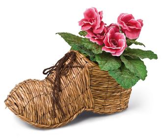 Posuda za cvijeće Shoe Brown