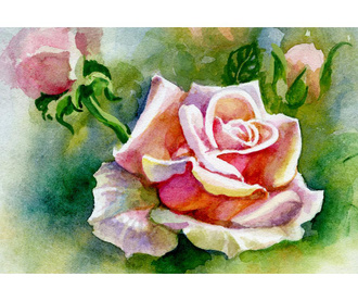 Tablou Watercolor Rose