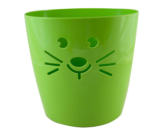 Cos Green cat