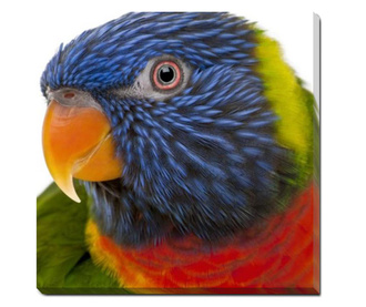 Tablou canvas Papagal