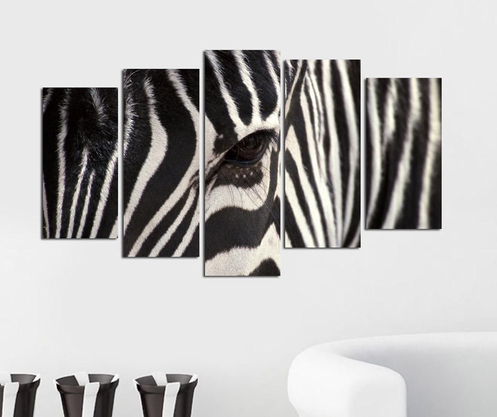 Zebra Szett - 5 Kép
