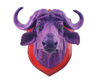 Decoratiune de perete Purpura Bufalo