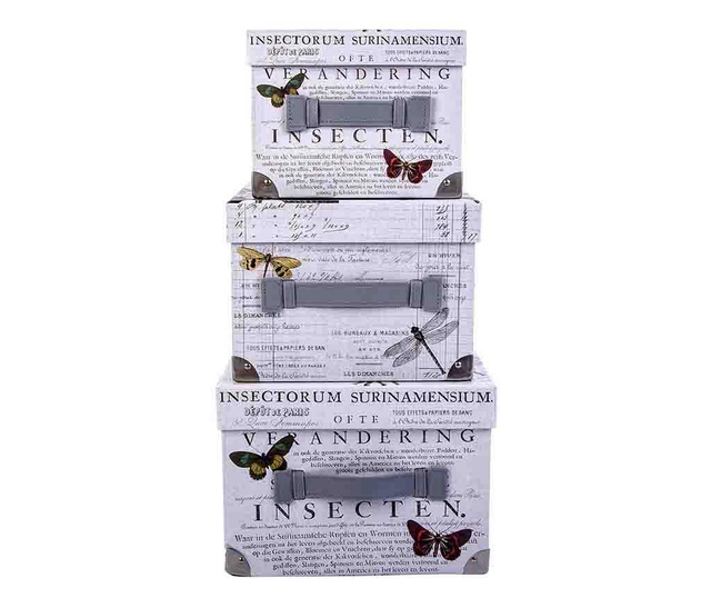 Set 3 cutii cu capac Butterfly