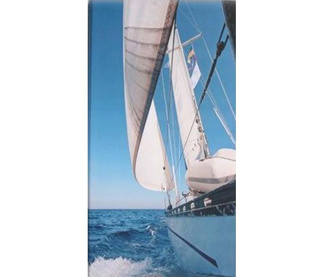 Tablou Yacht with White Sails 50x70cm