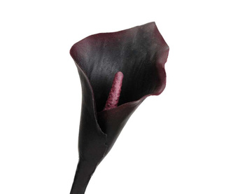 Umjetni cvijet Black Arum