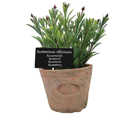 Planta artificiala in ghiveci Esschert Design, Rosemary, teracota, 14x14x20 cm