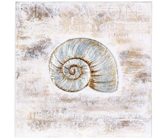 Tablou Snail Shell Lateral 40x40 cm