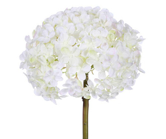 Floare decorativa Hortensia White