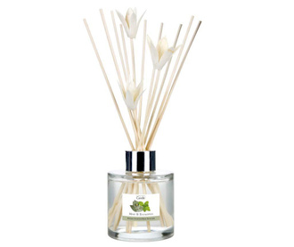 Difuzer s eteričnim uljima i  štapići Elegance Mint and Eucalyptus 100 ml