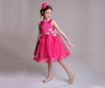 Rochita Organza Butterfly 8 ani
