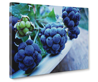 Blackberries Kép 50x70 cm