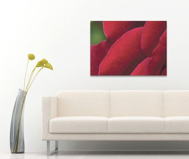 Rose Petal Kép 50x70 cm