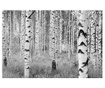 Tapeta Woods 248x368 cm