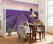 Provence Tapéta 248x368 cm