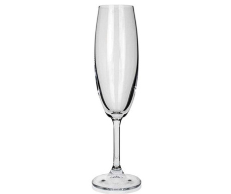 Set 6 čaša za šampanjac Leona 210 ml