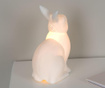 Noćna svjetiljka Rabbit