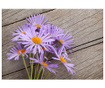 Purple Daisy Szőnyeg 52x75 cm