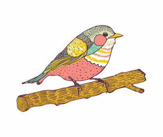 Nalepka Colored Bird