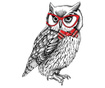 Nalepka Smart Owl