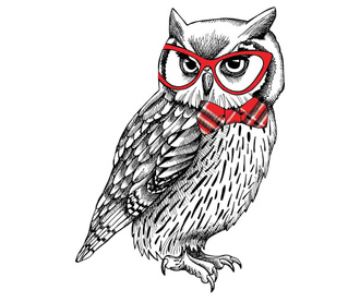 Nalepka Smart Owl