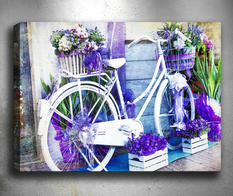3D slika Pretty Biclycle 40x60 cm