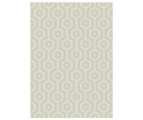 Covor Asiatic Carpets, Echo Geo Taupe, 160x230 cm
