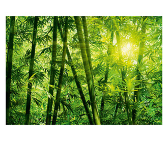 Bamboo Forest Tapéta 254x366 cm