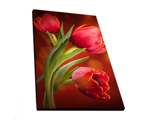 Tablou cu LED Shining, Red Tulips, cadru din lemn, 45x70 cm