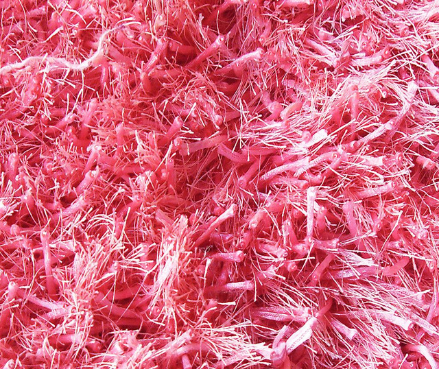 Covor Kota Pink 120x180 cm