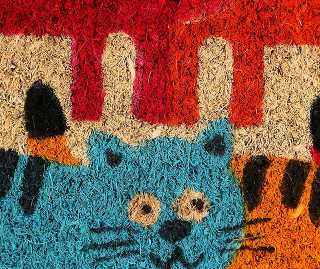 Covoras de intrare Colorful Cats 25x75 cm
