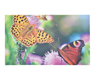 Covoras de intrare Butterfly 45.5x76 cm