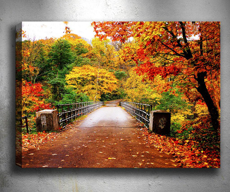 Картина  3D Autumn Bridge 50x70 см