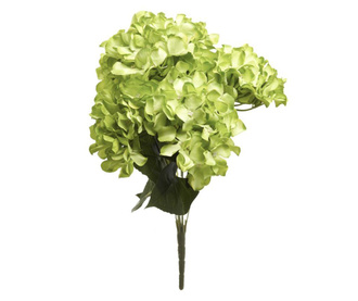 Green Hydrangea Művirág