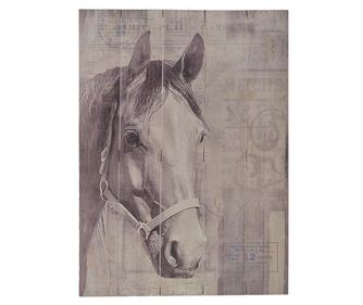 Portrait Horse Kép