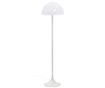 Lampadar Mushroom