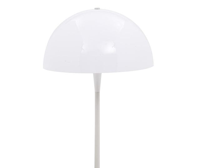 Lampadar Mushroom
