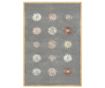 Covor Suns 152x244 cm
