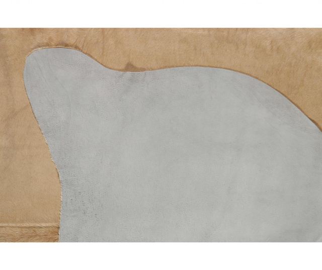 Covor Rodrigo 140x200 cm