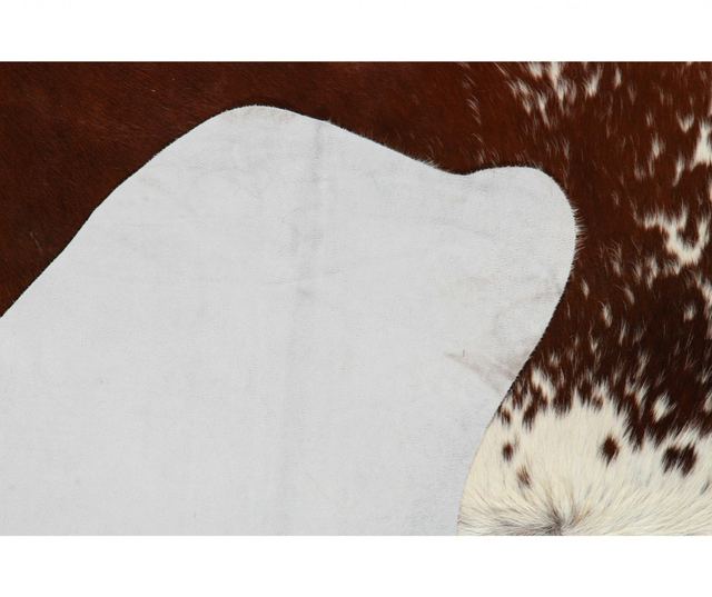 Covor Wegner 140x200 cm