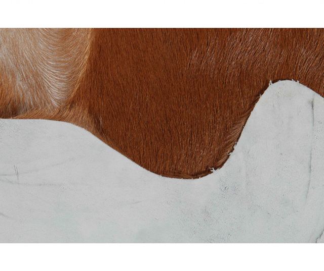 Covor Carson 55x70 cm