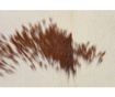 Covor Anthony 55x70 cm