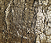 Perna decorativa Dordogne 45x45 cm