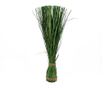 Ukrasne biljke Grass