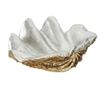 Ukrasna zdjela Seashell Stand S