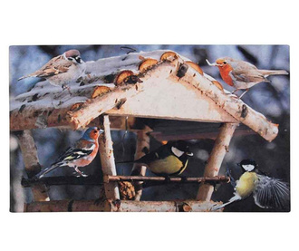 Covoras de intrare Feeding Birds 46x76 cm