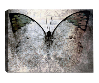 Slika Fading Butterfly Silver 50x70  cm