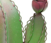 Svetilka Cactus Levana